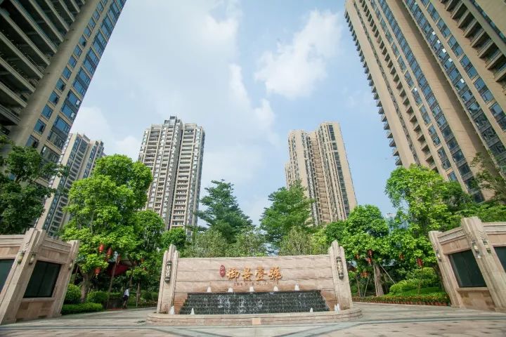 1573437606672098589.jpg 6.jpg