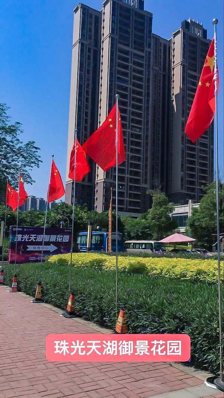 1573443199046085815.jpg 1.jpg