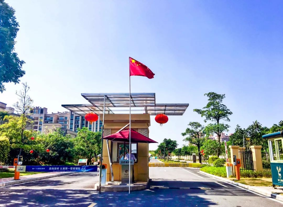 1573443211140744748.jpg 2.jpg