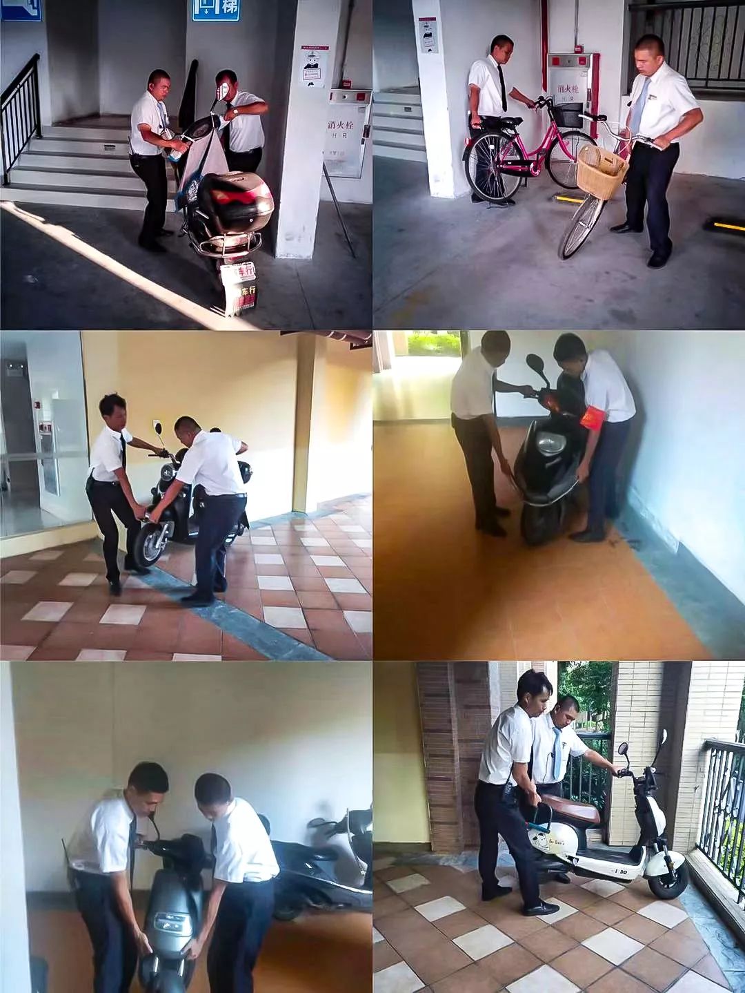 1573443332983623872.jpg 12.jpg