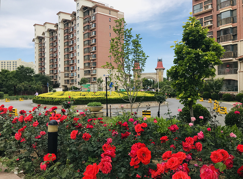 1577776590052175703.jpg 北京珠光御景嘉園.jpg